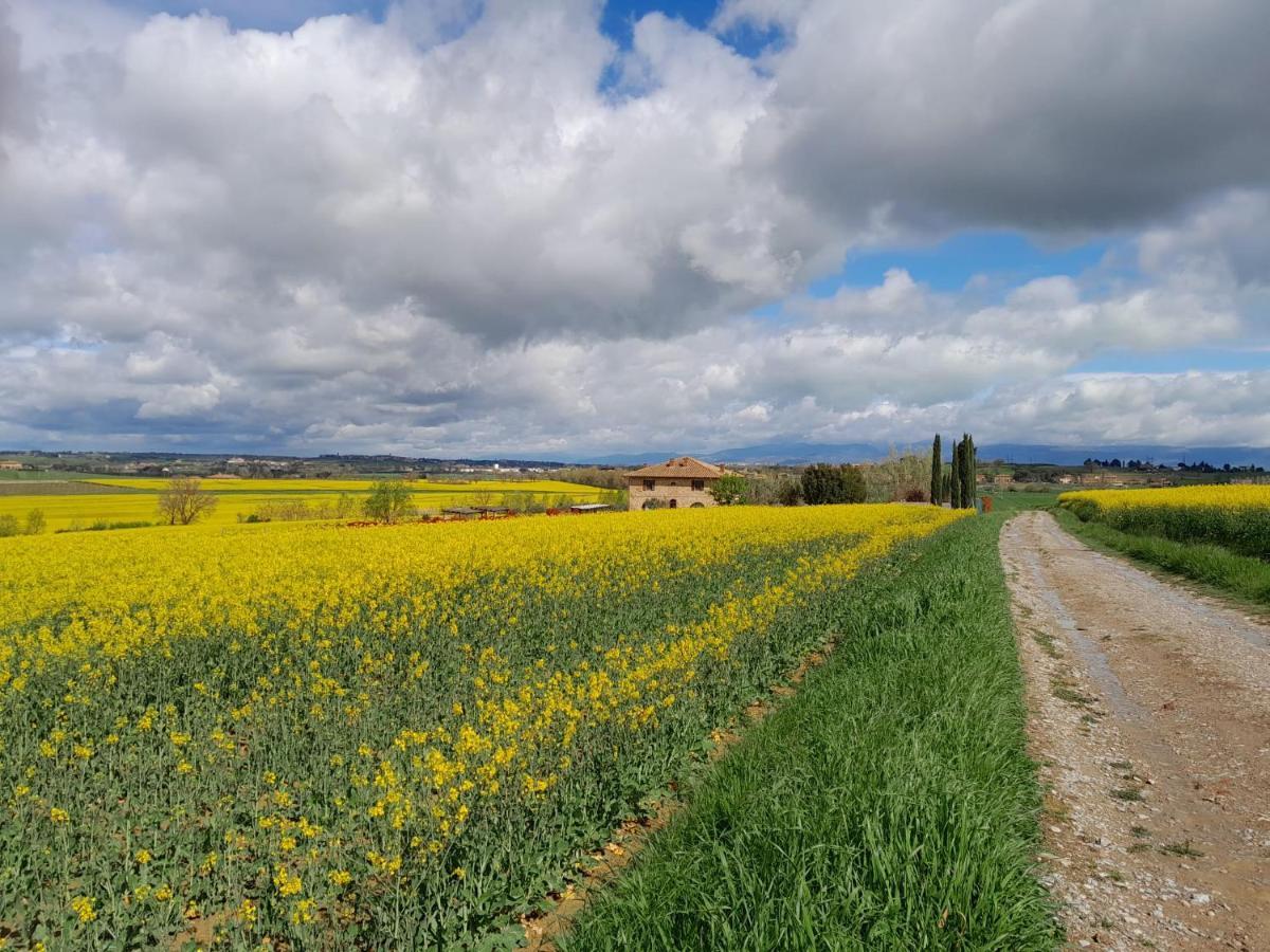 Podere Molinaccio Panicale Exterior photo